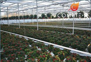 SERRES TOPOR TRIPLENT LEUR CONFIANCE EN COMPTE FORTECH